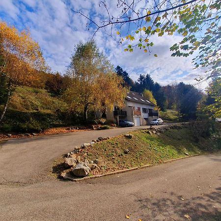 Bienvenue Dans Le Violine 2 A 6 Couchages Cholonge Exterior foto
